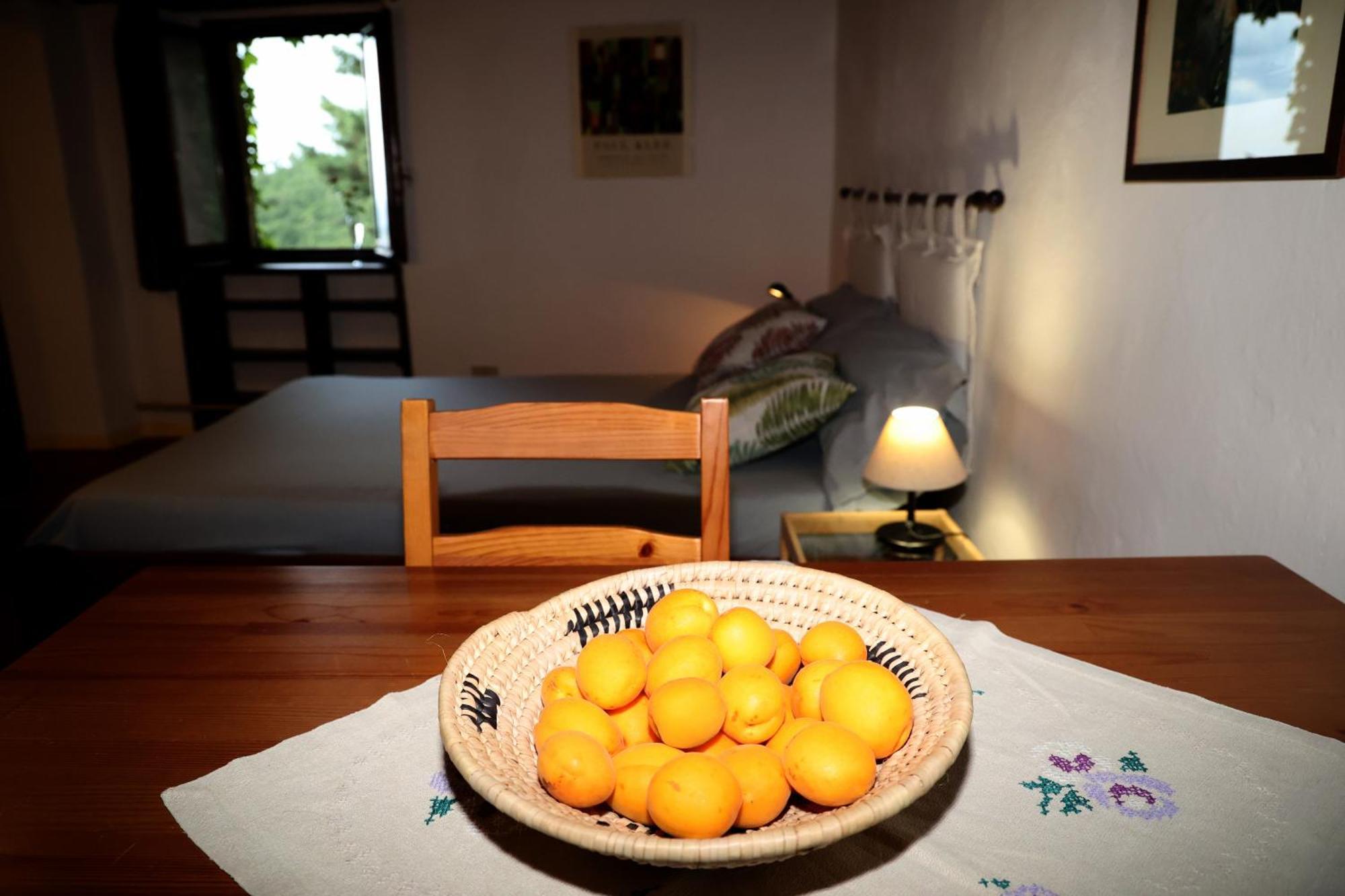 Casa Marju Guest House Montemassi ภายนอก รูปภาพ