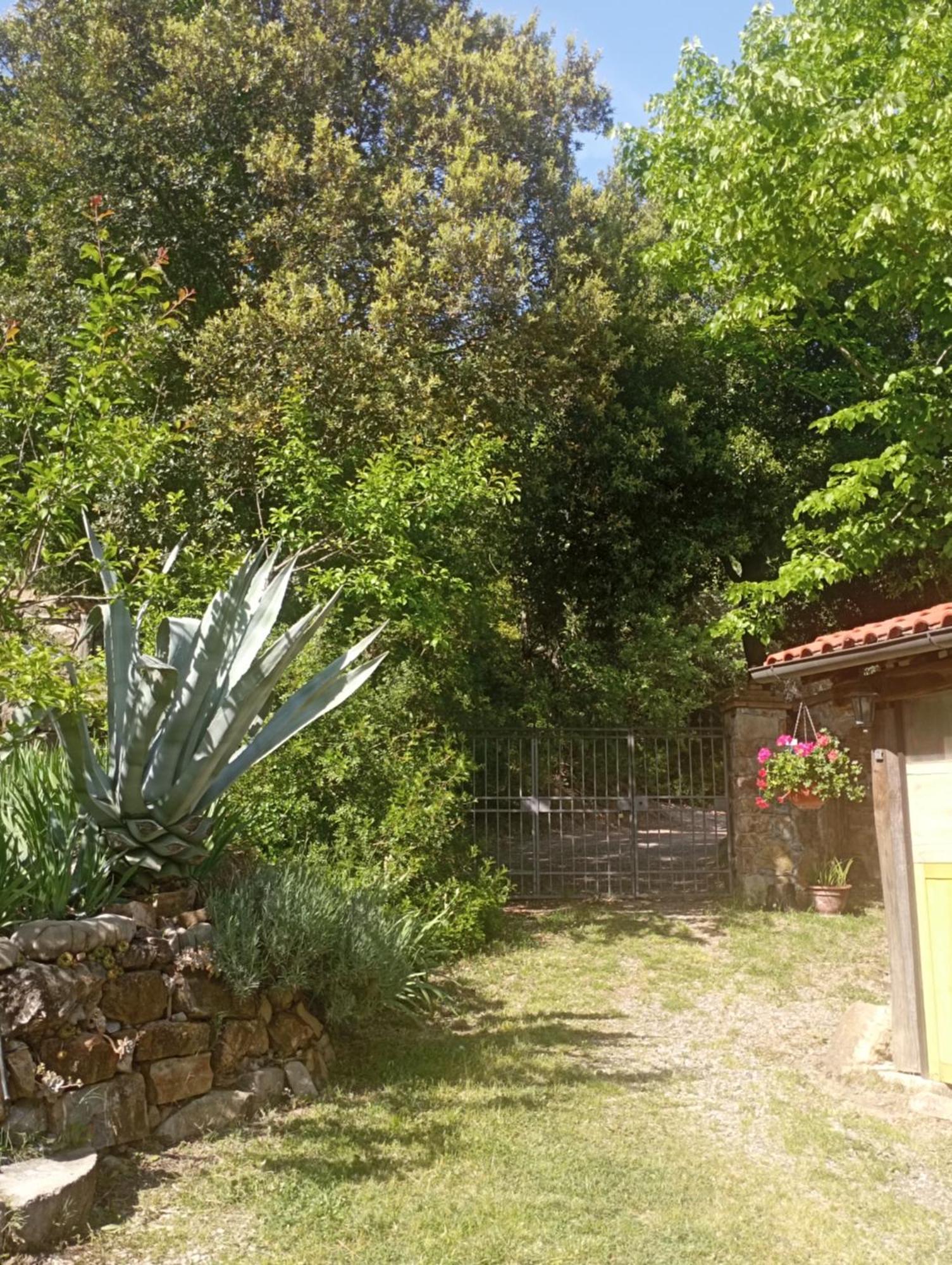 Casa Marju Guest House Montemassi ภายนอก รูปภาพ