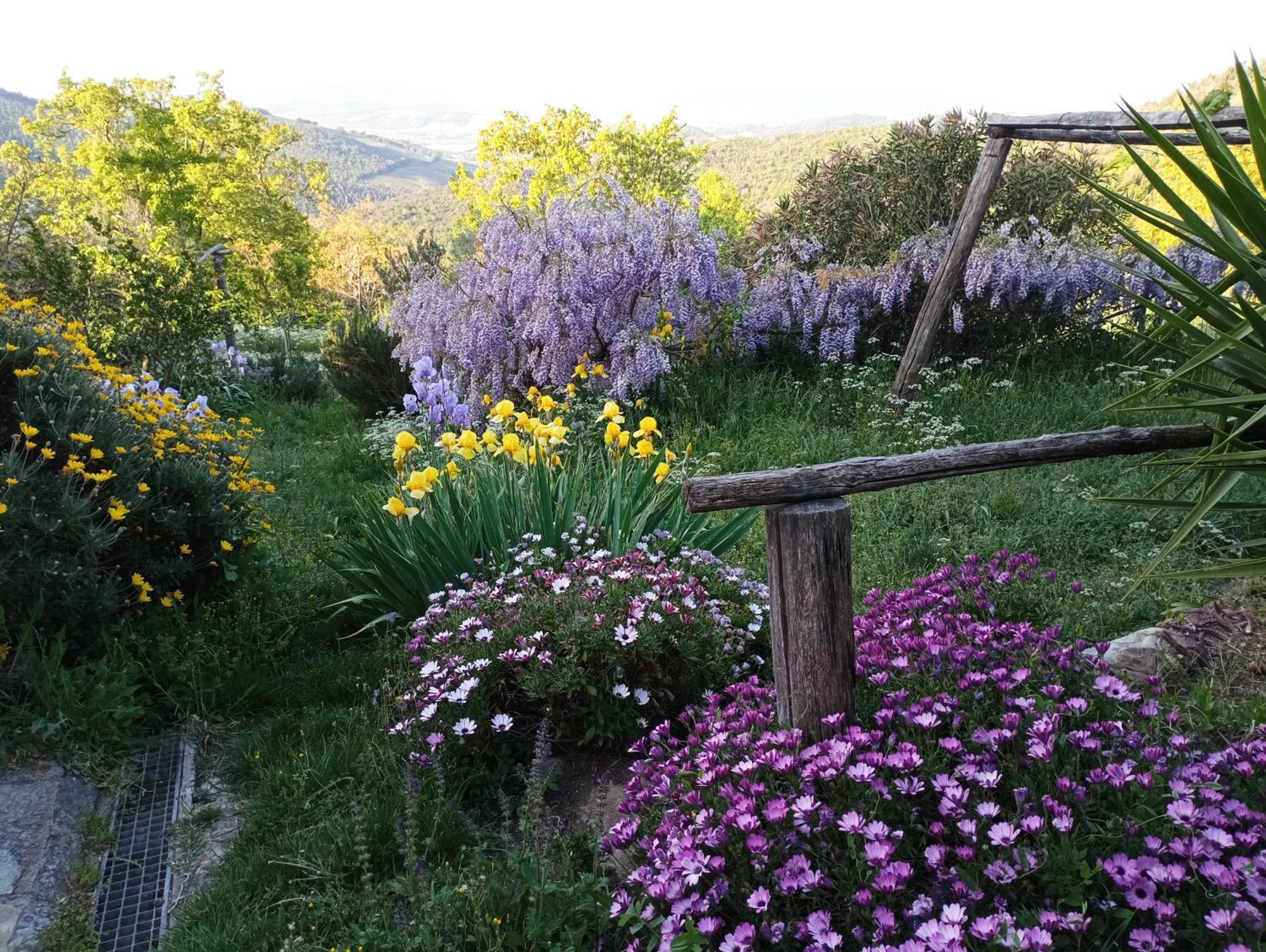 Casa Marju Guest House Montemassi ภายนอก รูปภาพ